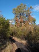 The path to Sawn Rocks