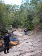 Hidden rock garden at foot of rocks