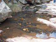 Pool of water and smooth stones