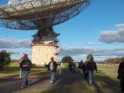 Group leaves the dish.