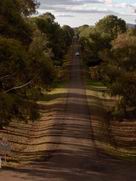 A view down the lane.