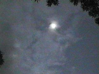 Eclipse and Venus