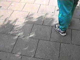 Crescent shadows