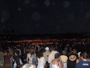 lanterns on the bay