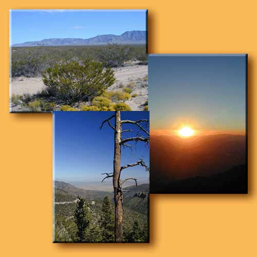New Mexico collage
