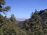 the mt baldy view