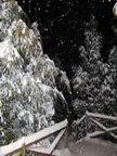 Friday night's snowfall
