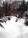 snow-covered cars
