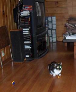 pixel and toy
