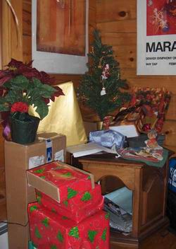 Our little tree in the corner