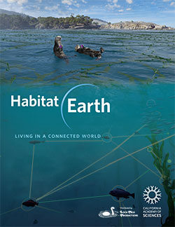 Habitat Earth
