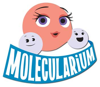 Image result for molecularium logo